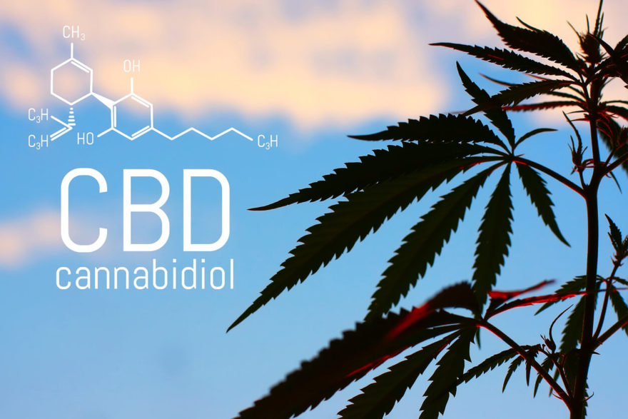 What is CBD