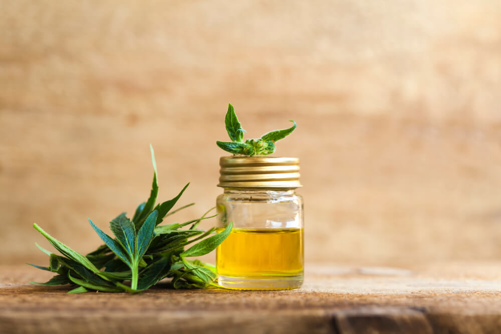 What is CBD isolate used for