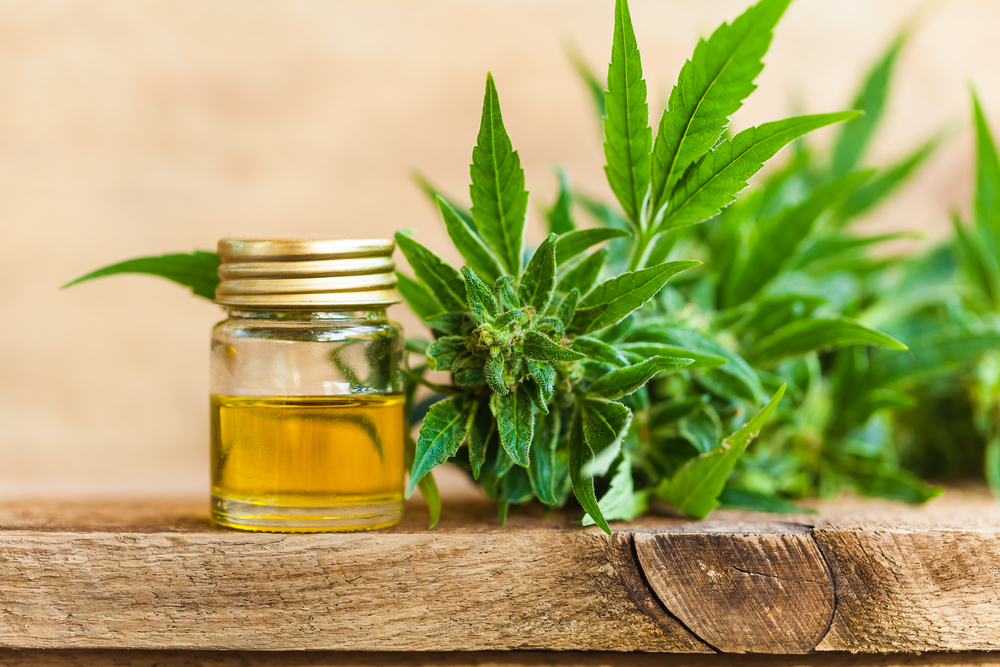 cbd and marijuana